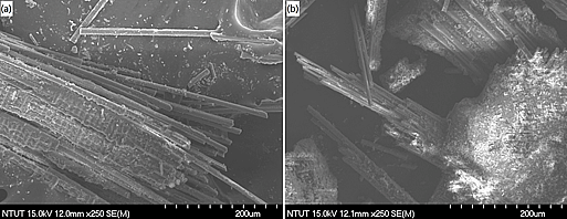 玻纖樹脂粉表面形貌：原始樣品與鹼處理後比較圖